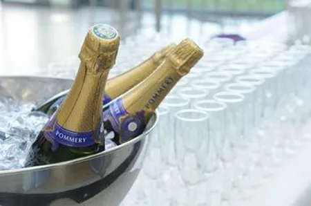 Soirée anniversaire des 10 ans d'EDF au Château de Saint-Priest