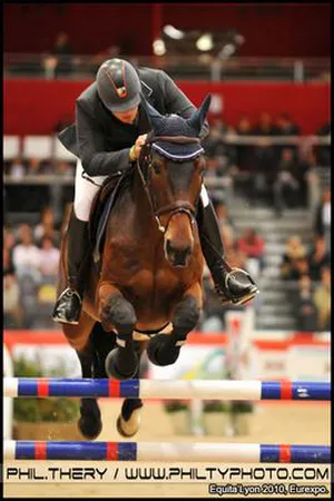 Saut d'obstacle cheval vue de face concours Equita Lyon – photographe salon Eurexpo