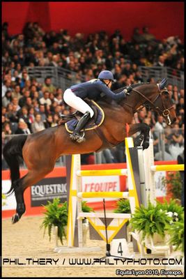 saut obstacle cheval vue de profil equita lyon eurexpo lyon credit photo philippe thery