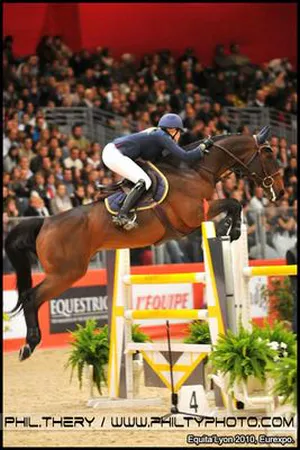 Reportage photo saut d'obstacle cheval vue de profil – salon Equita Lyon Eurexpo