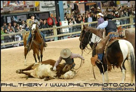 Animation Western cowboy et bétail salon Equita Lyon Eurexpo – photographe événementiel