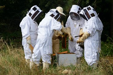 photographe reportage apiculteur lyon