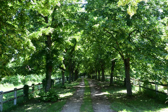 Parc et espaces extérieurs du Château de Chavagneux près de Lyon