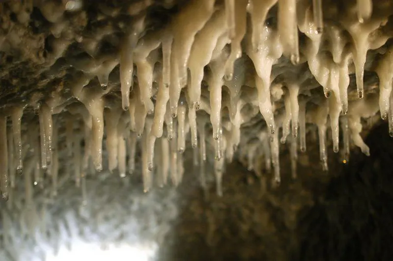 Lyon Souterrain detail stalactite de calcaire credit photo Philippe Théry Photographe