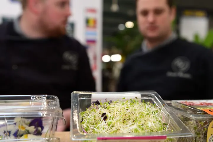 Photo de groupe d'une équipe internationale de la Catering Cup