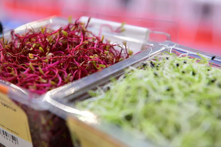 Zoom sur la présentation artistique des produits frais Métro lors de l'événement