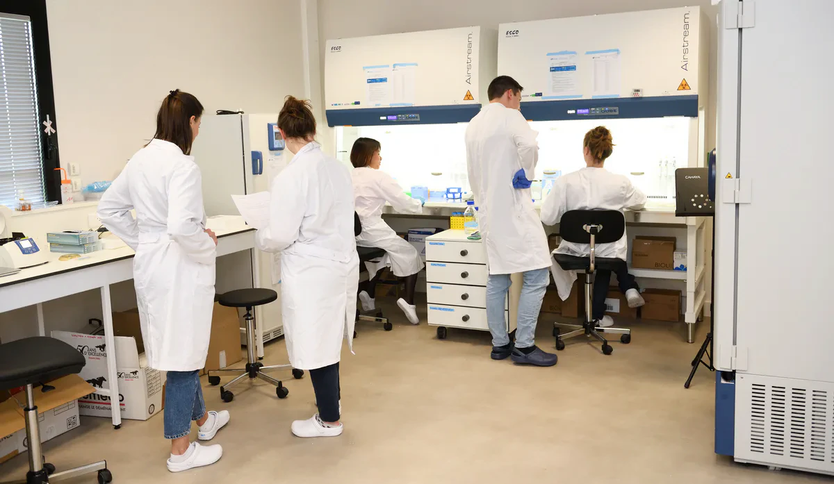 Équipe de scientifiques en laboratoire pharmaceutique travaillant sur un projet de recherche