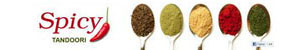 Spicy Tandoori reference client Philippe Thery photographe
