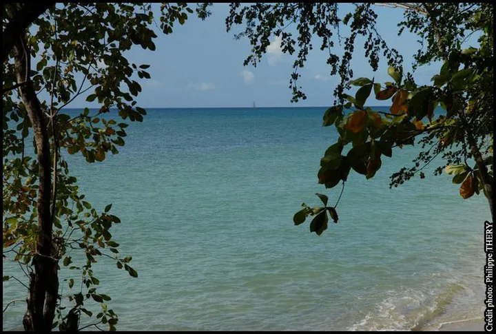 Plage en Martinique