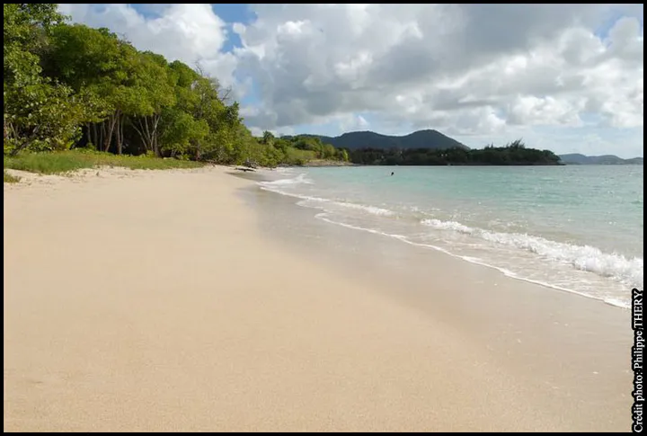 Plage paradisiaque de Martinique, mer des Caraïbes