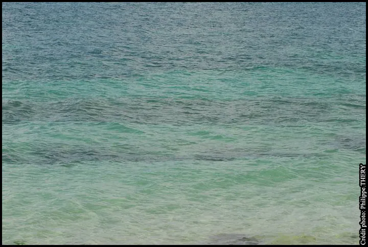 Mer des Caraïbes vert clair et vert foncé, la Martinique