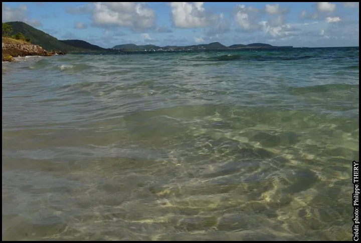 Vague transparente de la mer des Caraïbes, la Martinique