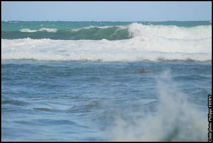 surfeur dans les vagues dela mer des caraibes la Martinique Grand'Riviere