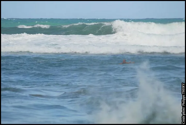 Surfeur dans les vagues de la mer des Caraïbes, Grand'Rivière, la Martinique