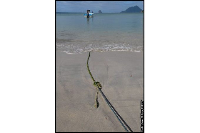 detail sur le sable corde d'amarrage couverte d'algues rentrant dans la mer des caraibes la Martinique