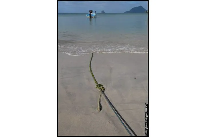 Détail d'une corde d'amarrage couverte d'algues sur le sable, entrant dans la mer des Caraïbes, la Martinique